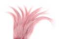 Top view piece of pink weft hair Royalty Free Stock Photo