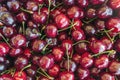 Top view of pile of cherries