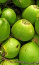 top view of pile coconuts on the market