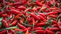 Top View Pile of Fresh Chili and Ripe Red Hot Chili in The Basket for Sale in The Vegetables Market of Bali, Indonesia Background Royalty Free Stock Photo