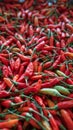 Top View Pile of Fresh Chili and Ripe Red Hot Chili in The Basket for Sale in The Vegetables Market of Bali, Indonesia Background Royalty Free Stock Photo