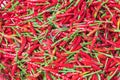 Heap of organic homegrown red chilies at farmer market in Vietnam Royalty Free Stock Photo