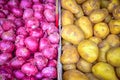 Top view pile of fresh white potatoes and red shallot onions at farmer market in Singapore Royalty Free Stock Photo