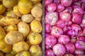 Top view pile of fresh white potatoes and red shallot onions at farmer market in Singapore Royalty Free Stock Photo