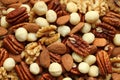Top view of a pile of large shelled almonds, pecan nuts, walnuts and macadamia nuts arranged randomly. Closeup