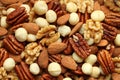 Top view of a pile of large shelled almonds, pecan nuts, walnuts and macadamia nuts arranged randomly. Closeup