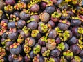 Top view Pile of Mangosteens in a supermarket local market