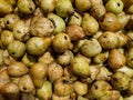 Top view of pile of pears Royalty Free Stock Photo