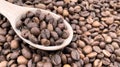 Top view of a pile of scattered aromatic roasted brown coffee beans with a wooden scoop. Coffee beans in a wooden spoon Royalty Free Stock Photo