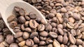 Top view of a pile of scattered aromatic roasted brown coffee beans with a wooden scoop. Coffee beans in a wooden spoon Royalty Free Stock Photo