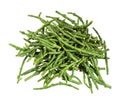 Top view of pile of twigs of Salicornia isolated