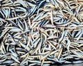 Top view of a pile of Whitebait - fresh seafood