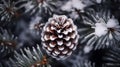 Top View of a Pine Cone in the Snow. Beautiful Winter Background Royalty Free Stock Photo