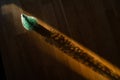 Top view of pine tree on wooden background in sunlight with long shadow. Christmas moody postcard