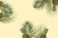 Top view  pineapple and kiwi flatlay. Summer minimal banner copyspace. Green palm Royalty Free Stock Photo