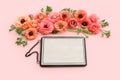 top view of pink flowers and black elegant empty frame over pastel background. For mock up, copy space Royalty Free Stock Photo