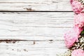 Top View of Pink Peonies and Babys Breath Flowers over a White Wood Background Royalty Free Stock Photo