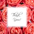 Roses background with Thank You lettering. Royalty Free Stock Photo