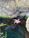 Top view of Pink sea star floating on the surface and Leopard shark swimming under by a cliff Royalty Free Stock Photo