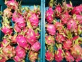 Top view of pitaya or dragon fruit on market stand in Thailand. Royalty Free Stock Photo