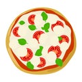 Top view pizza Margherita. Vector illustration