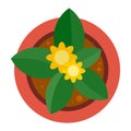 Top view plant pot icon, flat style