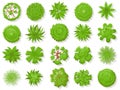 Top view plants. Tropical trees, green plant tree from above for aerial map isolated vector collection Royalty Free Stock Photo