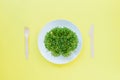 Top view plate with fresh organic sprout micro greens served with wooden cutlery on the bright yellow background. Healthy Raw diet Royalty Free Stock Photo