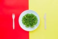 Top view plate with fresh organic sprout micro greens served with wooden cutlery on the bright yellow - red background. Healthy Ra Royalty Free Stock Photo