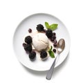 Top view of plate of ice cream scoops with blackberries. Royalty Free Stock Photo