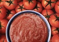 Fresh tomatoes with tomato puree Royalty Free Stock Photo