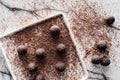 top view of plate with truffles covering by grated chocolate Royalty Free Stock Photo