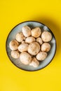 Top view on plate with white common champignon mushrooms on yellow background Royalty Free Stock Photo