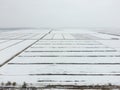 Top view of a plowed field in winter. A field of wheat in the snow