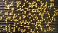 TOP VIEW: Popcorn on cooking pan