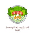 Top view of popular food of ASEAN national,Luang Prabang Salad,in cartoon