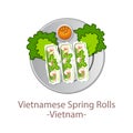 Top view of popular food of ASEAN national,Vietnamese Spring Rolls,in cartoon