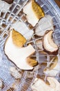 Top view of porcini mushrooms in the dehydrator Royalty Free Stock Photo