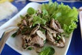 The top view: Pork liver salad or Laab is a popular local food in Isan, Thailand.