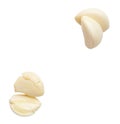 Top view of pounded garlic cloves in set isolated on white background with clipping path Royalty Free Stock Photo