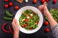 Top view of prepared fresh vegetable salad with mozzarella cheese with ingredients Royalty Free Stock Photo