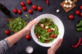 Top view of prepared fresh vegetable salad with mozzarella cheese with ingredients Royalty Free Stock Photo