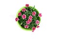 Top view of purple mini carnation in flower pot Royalty Free Stock Photo