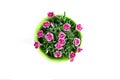 Top view of purple mini carnation in flower pot Royalty Free Stock Photo