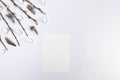 Top view of pussy willow branches, white easter eggs, white card and feathers on white background. Royalty Free Stock Photo