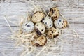 Top view of the quail eggs on old wooden surface