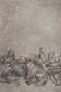 Quail feathers on concrete surface with copy space