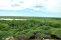 Top view rameswaram forest