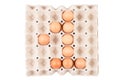 Raw brown Chicken Eggs In paper container tray box arranged look like Number is ` 1 `. Royalty Free Stock Photo