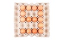 Chicken Eggs In paper container tray box arranged look like Number is ` 9 `. Royalty Free Stock Photo